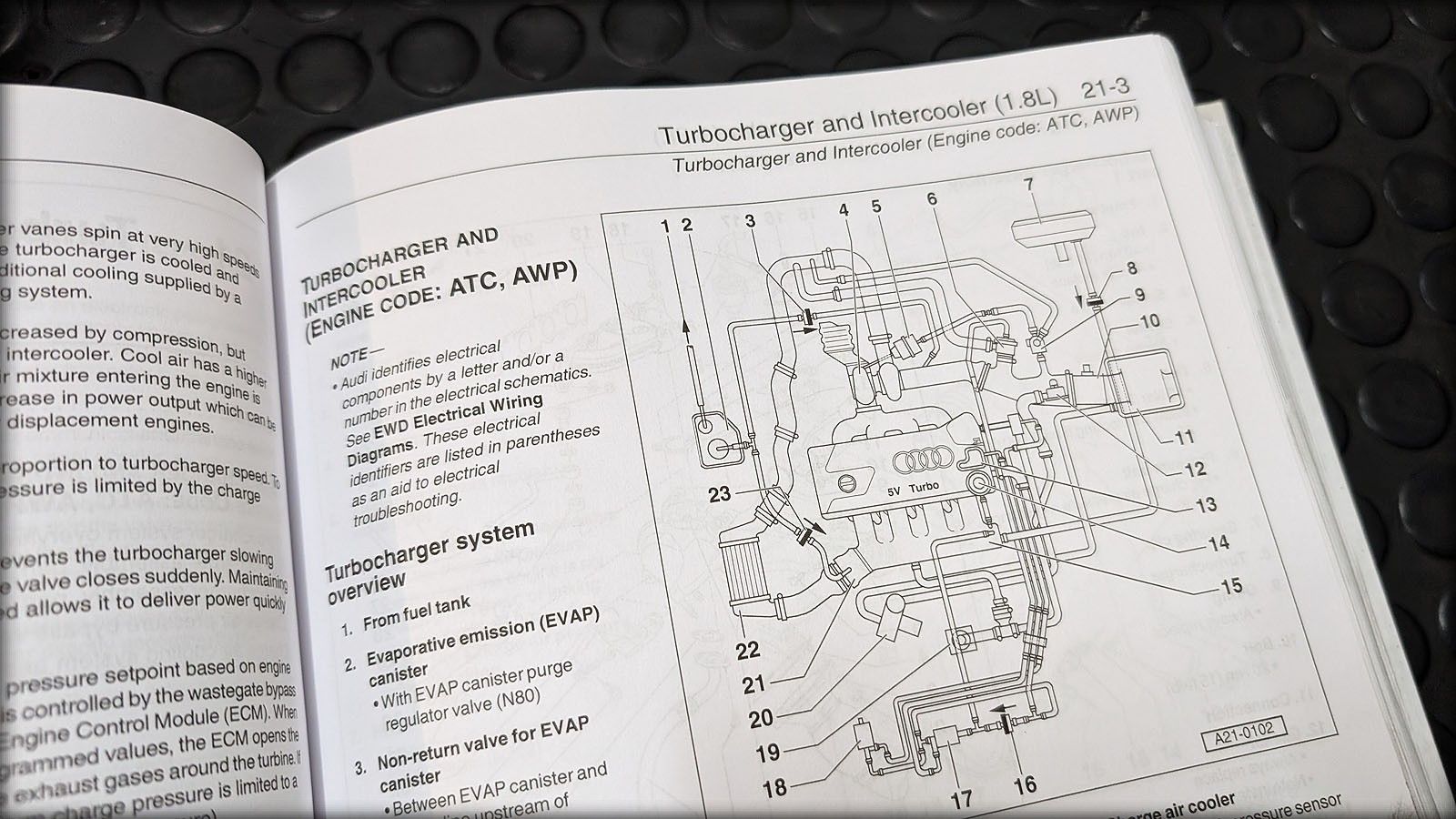 TT 8N Werkstatthandbuch Englisch