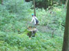 wie man sich im Wald verirren kann!!!!